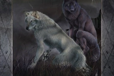 Dogs: Storm Wolves Snow Wolf Wallpapers HD For HD 16:9 High ...