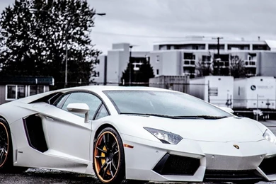 White Lamborghini Wallpapers