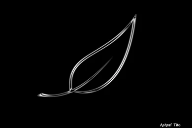 Black Xp Wallpapers Wallpapers HD Wide