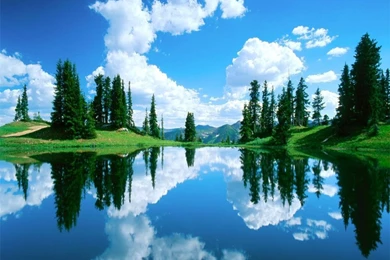 Nature Wallpapers   Crazy Frankenstein