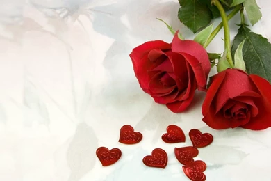 Red Roses, Most Popular Rose, Rose Wallpapers, Beautiful Rose, Red ...