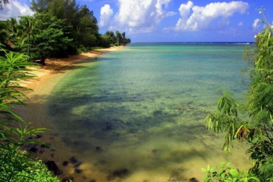 Wallpapers Suzuki Motocross Nature Hd Resolution Cool 1024x768 ...