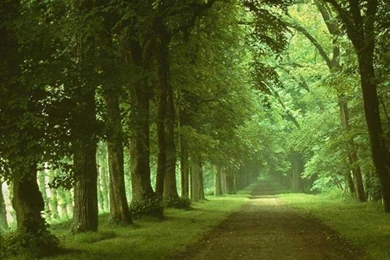 Top Wallpapers Nature 3d Images For Pinterest