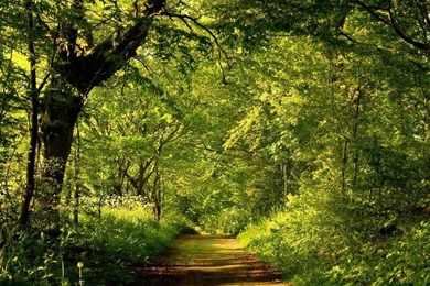 3D Cartoons Wallpapers HD (38)