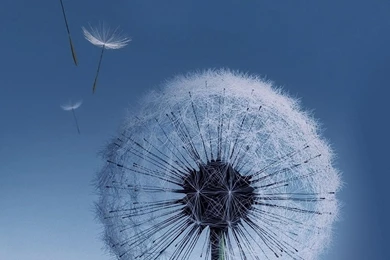 Wallpapers For Samsung Galaxy S3