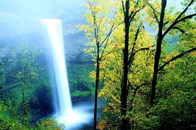 3D Nature Wallpapers