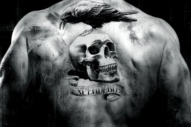 Skull Tattoo Wallpapers   183995