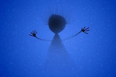 I Am Sorry Sms Iphone 4 Wallpapers Free 640x960 Hd Iphone 5 ...