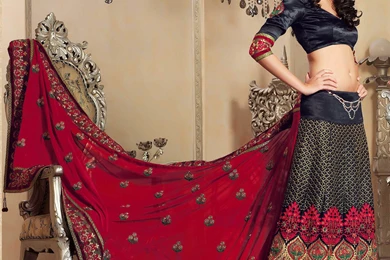 Marriage Sarees Latest New Design Hd Images Wallpapers And Photos