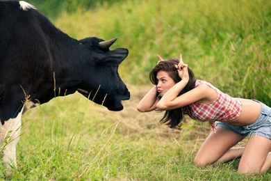 Download Cow Free Hot Girl Taunting Wallpapers 1920x1080