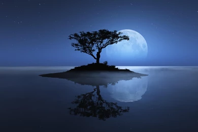 Beautiful full moon with tree night nature wallpapers hd wallpapers at night usa .jpg