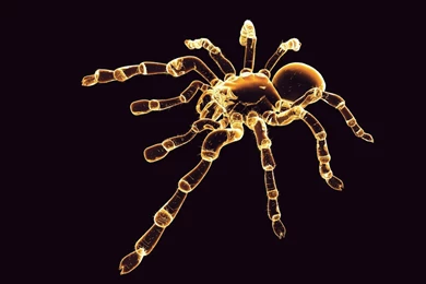 Wallpapers Sick Wallpapers Hd Wallpaper Backgrounds Desktop