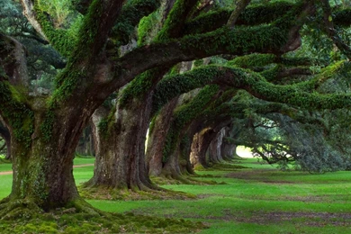 14370 Photography HD Wallpapers