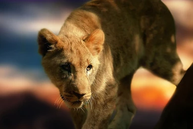 HD Wallpapers 1080p   HD PC Backgrounds 1080p