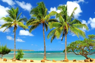 Beach Wallpapers Collection