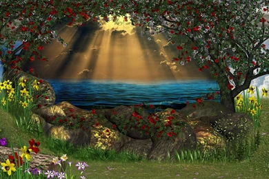 3D Nature Wallpapers Amazing Images