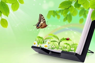 Butterfly Nature 3d Hd Wallpapers