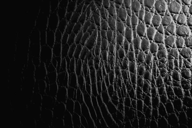 Desktop Wallpapers · Gallery · Computers · Black Rhinoceros Skin ...