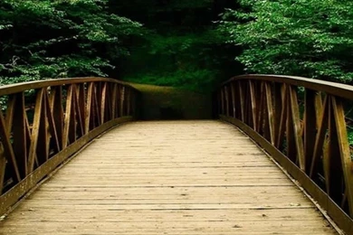 Nature Forest Bridges iPhone 4s Wallpapers Download
