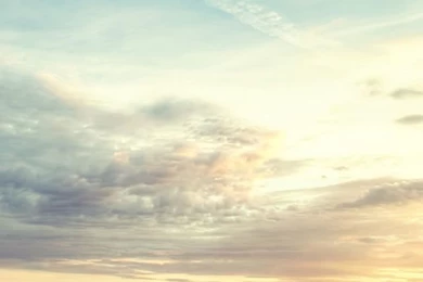 Nature Wild Grassland Skyline