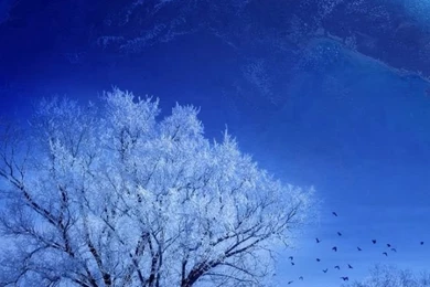 iPhone 4S, 4 Full Moon Wallpapers HD, Desktop Backgrounds 640x960