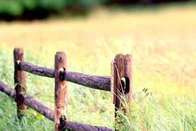 Nature Landscape, Fence, Grass, Blur Backgrounds iPhone Wallpapers ...