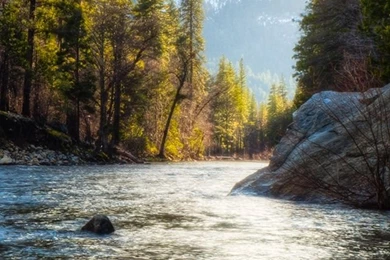 River Forest Nature Landscape iPhone Wallpapers