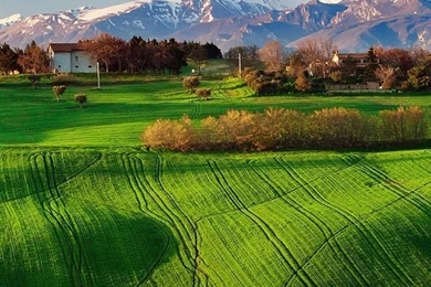 Italy Nature Scenery, Fields, Spring, Rapeseed, Sky iPhone ...