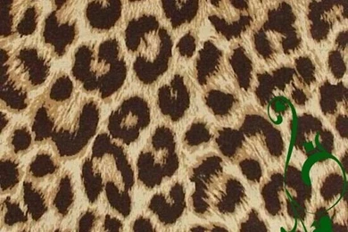 Cheetah Wallpapers For Phone