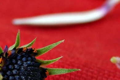 1080x1920 Loves Wallpapers HD