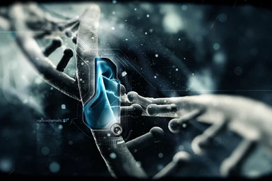 Top 1920x1080 Wallpapers   Page 106