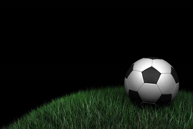 Soccer ball in grass.jpg   Image