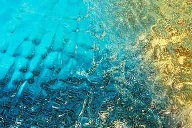 Beautiful Colorful Flowers Spice Wallpapers HD 1080x1920