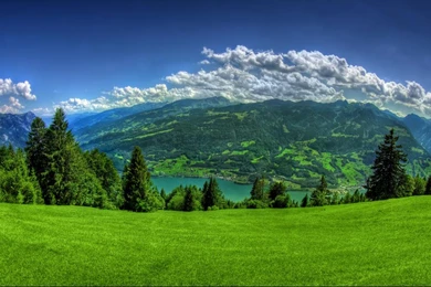 Top 1366x768 Nature Spring Images For Pinterest