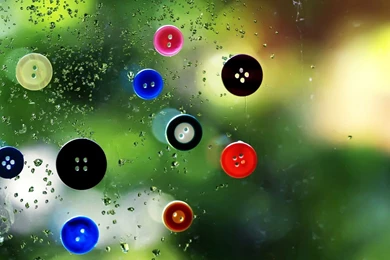 HD Wallpapers Download   HD Wallpaper Backgrounds Of Your Choice