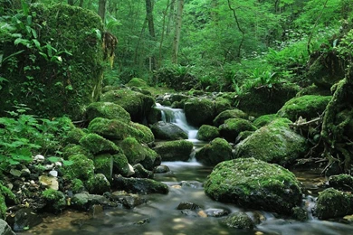 Simple World Wallpaper: Wallpapers Desktop 1280x1024