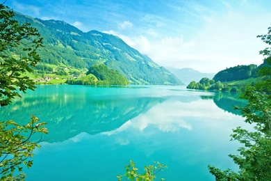 Summer Nature Wallpapers   Crazy Frankenstein