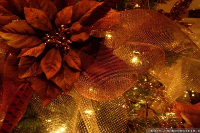 Christmas Flowers Wallpapers   Crazy Frankenstein