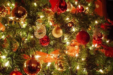 Download Wallpapers 1920x1200 Christmas Tree, Christmas Decorations ...