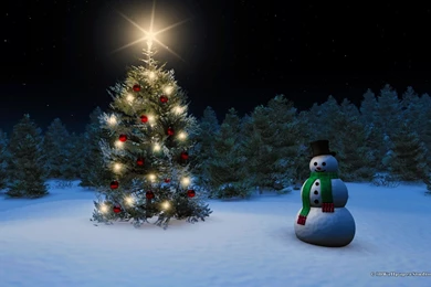 Beauty Katy Perry Singer Girl Music