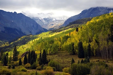 Free Wallpapers   Free Nature Wallpapers   HD Landscape 4 Wallpapers ...