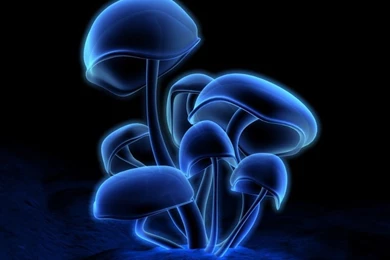 HD 3D Wallpapers For Desktop