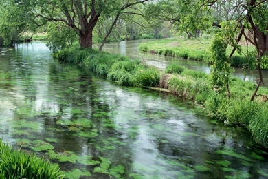 Beautiful Farmland Scene Wallpapers 1280x1024 NO.10 Desktop ...