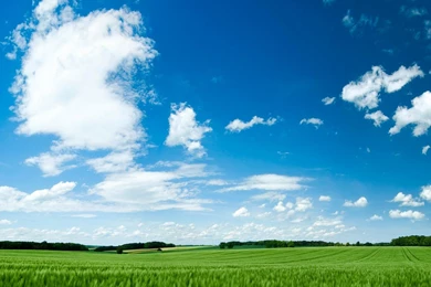 Nature Normal 1280x1024