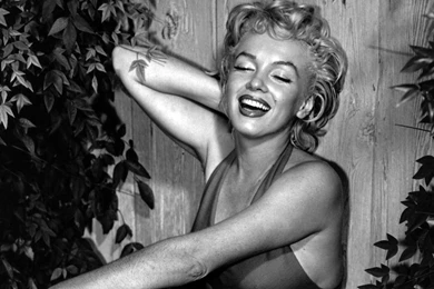 Marilyn Monroe Wallpaper Backgrounds 10   1529330