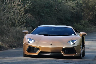 Download Wallpapers 1920x1080 Lamborghini, Aventador, Front View ...