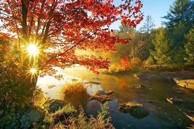 Beautiful Natural HD Wallpapers   Image Wallpapers