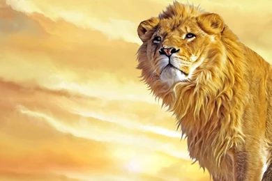 Beautiful_lion_painting.jpg