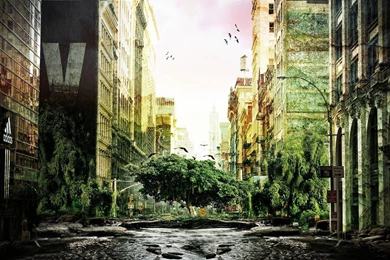 3D Digital Forest City Your Top HD Wallpapers