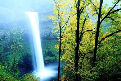 Free 3D Nature Wallpapers